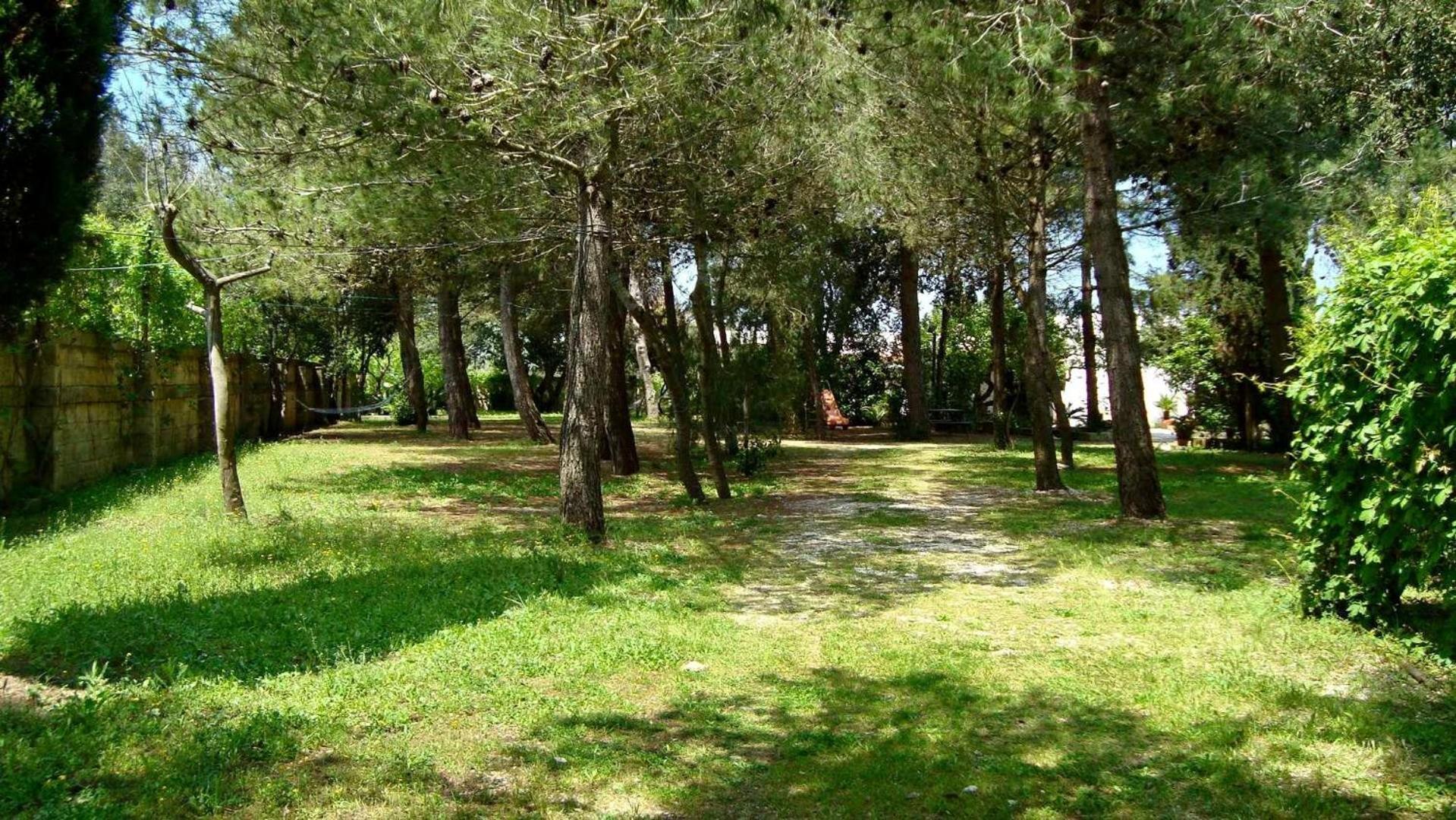 Agriturismo Vignavecchia Vignacastrisi Exterior foto